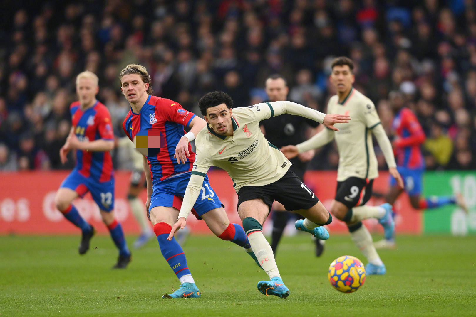 他们各自的 他们各自的